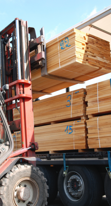 Timber & Forestry Image